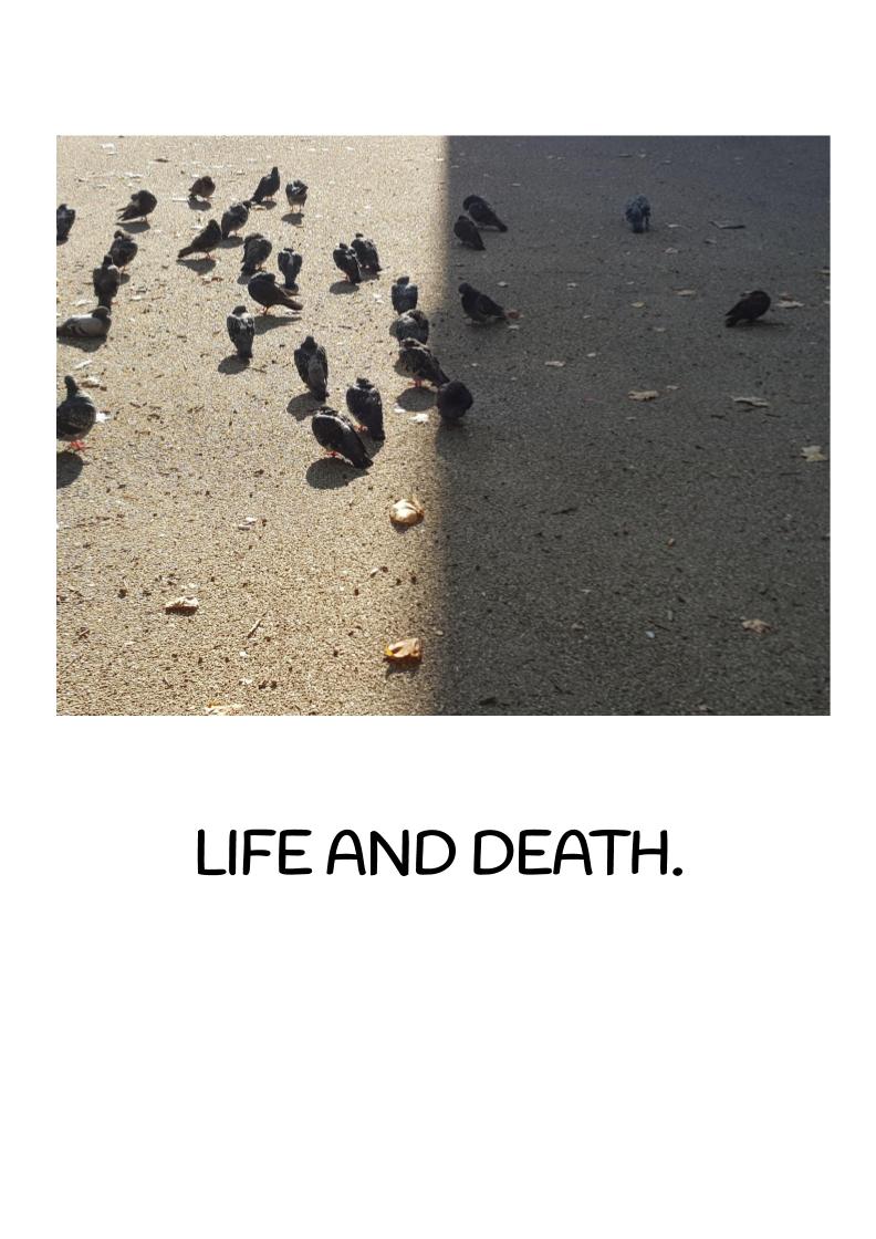 Life and Death